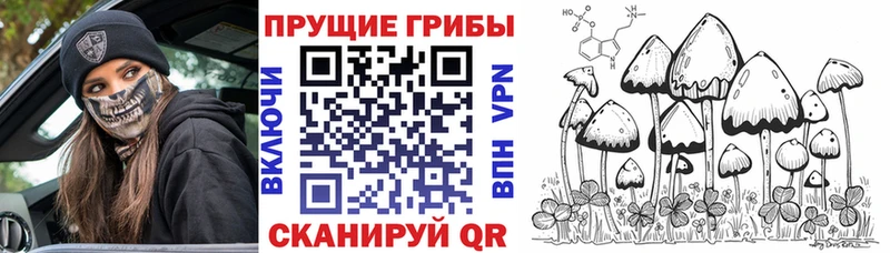 кракен вход Орлов Псилоцибиновые грибы прущие грибы
